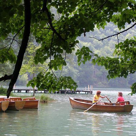 Vukovic House Hotel Seliste Dreznicko Ngoại thất bức ảnh